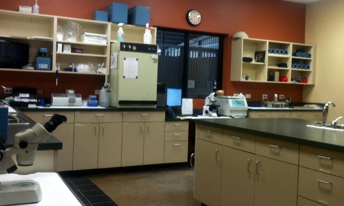 Delta_Lab